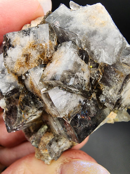 A close-up of a hand holding a cluster of transparent and reflective cubic fluorite crystals, sourced from the Fluorite-Milky Way Pocket at the Diana Maria Mine in Weardale, Co Durham, UK. The crystals exhibit sharp, well-defined edges with a few brown earthy inclusions. Their surfaces catch the light beautifully, creating a shiny and complex reflective pattern reminiscent of daylight fluorescence. This exquisite piece is offered by The Crystalary.