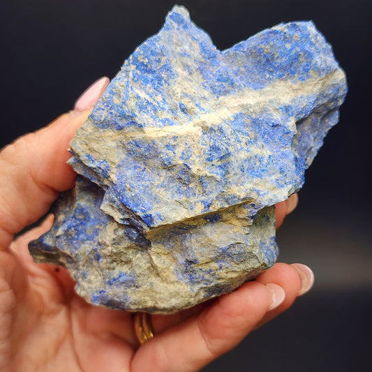 AUCTION- Hauyne (var Lazurite) (aka Lapis Lazuli)-Ovalle de Andes, Limari Province, Coquimbo Region, Chile