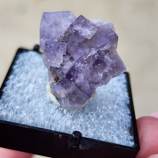 AUCTION- Fluorite- Cromwell Pocket, Greenlaws Mine, Daddry Shield, Stanhope, Co. Durham, England