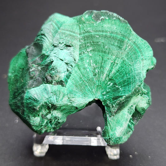 AUCTION- Malachite- Liufengshan Mine, Guichi District, Ghizhou, Anhui, China