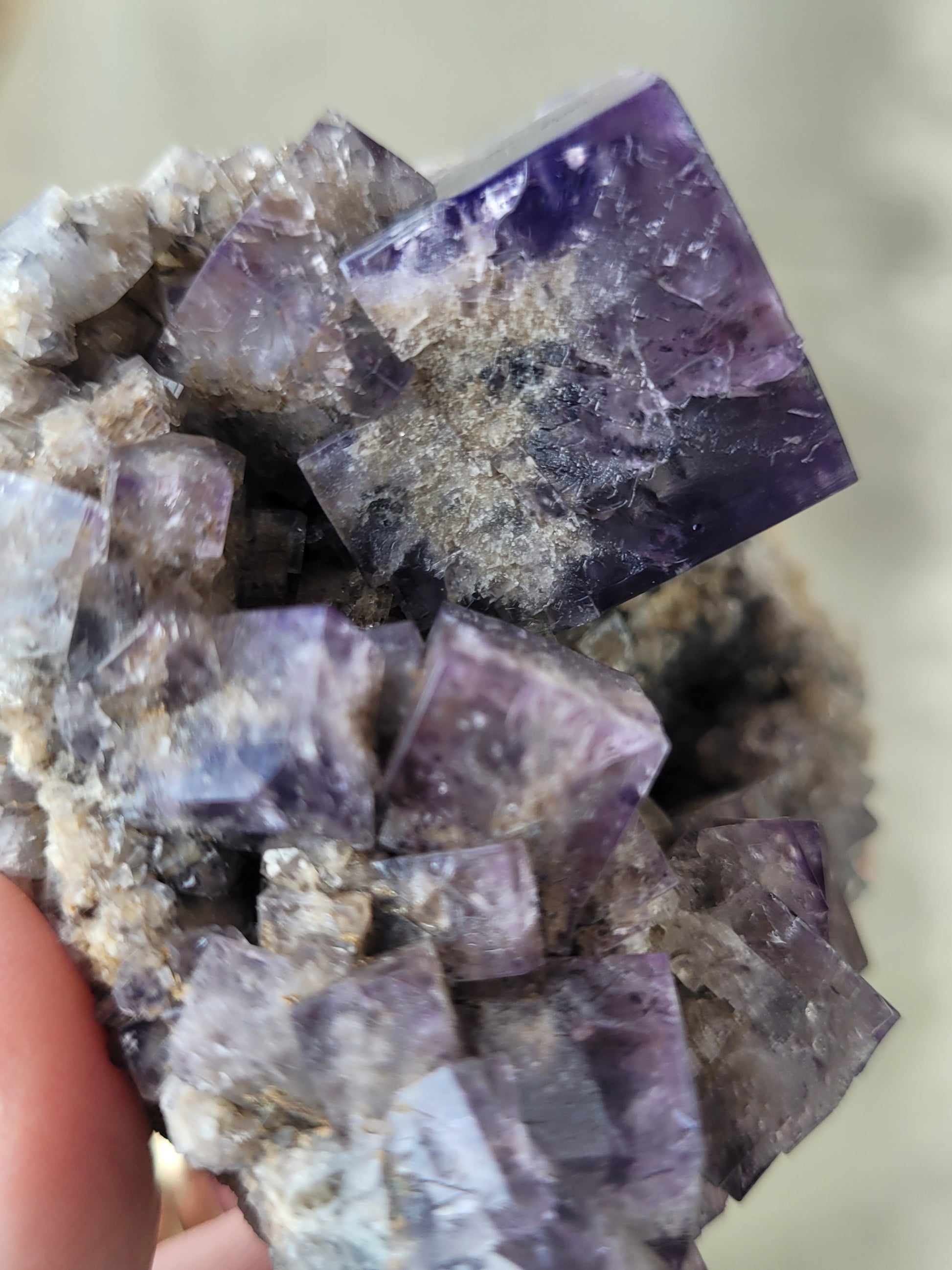 Close-up of a hand holding a cluster of Fluorite- Purple Rain Pocket from The Crystalary, showcasing deep inky purple cubic crystals with slightly translucent and reflective surfaces. The crystals, featuring some interpenetrant twins, vary in size and are interspersed with grayish mineral formations. The background is blurred and neutral-colored. This exquisite specimen is sourced from the Fairy Hole Vein at Lady Annabella Mine in Eastgate, Weardale, Co. Durham, England, UK. 