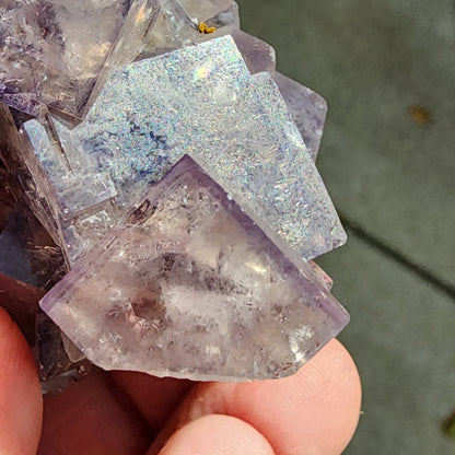 Close-up of a hand holding a glassy cluster of purple fluorite crystals from The Crystalary's Fluorite- Cromwell Pocket collection, sourced from Greenlaws Mine, Daddry Shield, Stanhope, Co. Durham, England. The crystals display transparent and reflective surfaces with intricate geometric shapes and a subtle sparkle. The blurred background accentuates the detailed texture and vibrant color variations of this exquisite fluorite specimen.