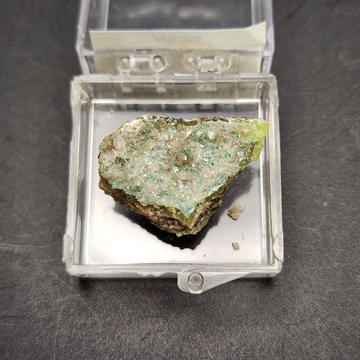 An AUCTION Hemimorphite specimen from the 79 Mine, Dripping Spring Mtns., Gila County, Arizona, USA by The Crystalary features green and white crystalline formations elegantly placed in a transparent square plastic container. Resting on a dark surface, the Hemimorphite mineral surface appears rough and sparkly due to its intricate crystalline structure.