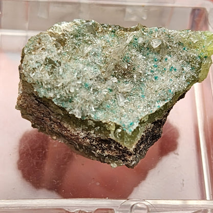 Close-up of a rough green mineral specimen with a sparkling, crystalline surface displaying small blue-green points. The rock, identified as AUCTION Hemimorphite from the 79 Mine in the Dripping Spring Mountains, Gila County, Arizona, USA by The Crystalary, is displayed inside a clear plastic container.