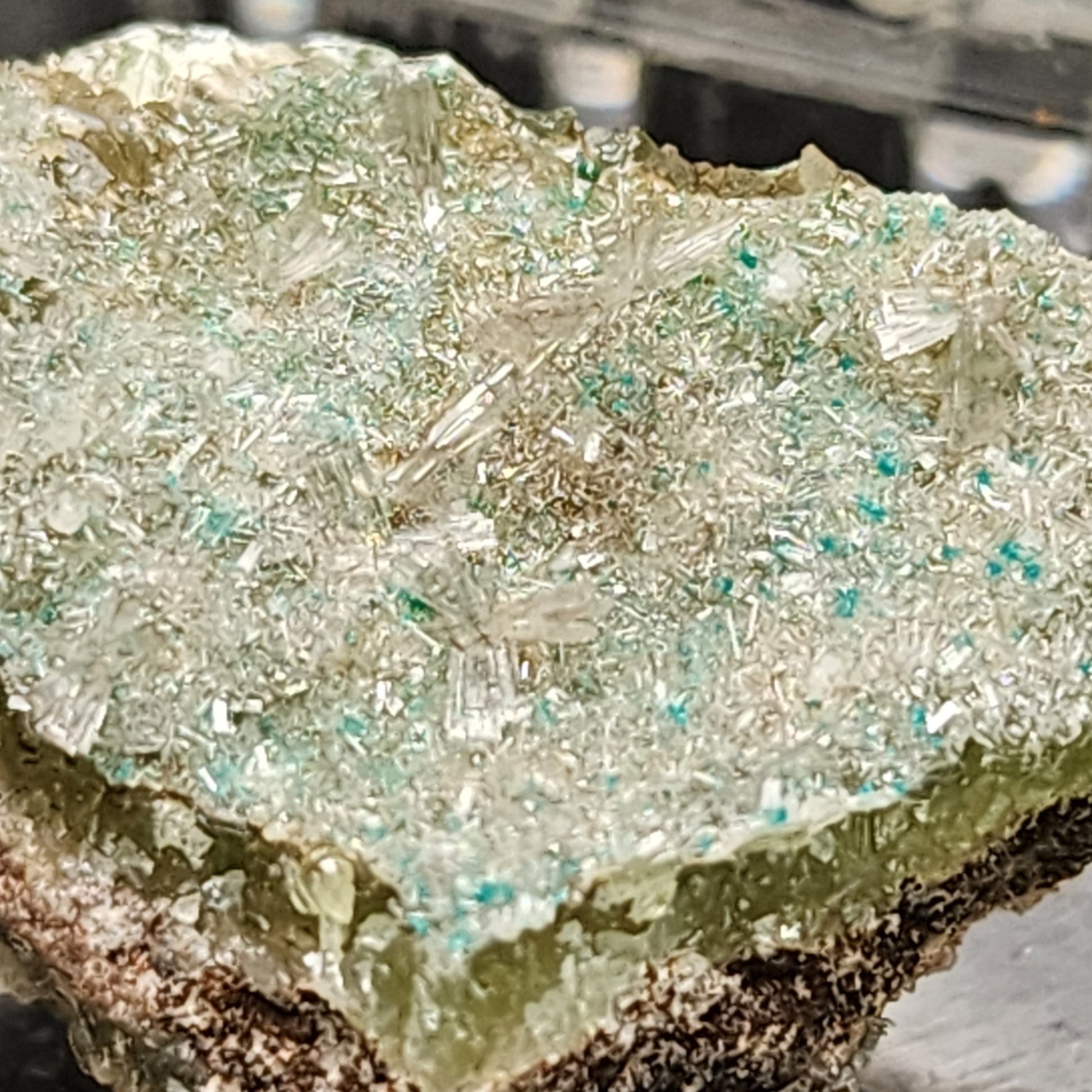 A close-up image of The Crystalary's Hemimorphite specimen from the 79 Mine in Dripping Spring Mountains, Gila County, Arizona showcases a rough, crystalline surface. The mineral features numerous small, pale green and translucent Hemimorphite crystals scattered across a light green base. The texture is gritty, and the crystals have a sparkling appearance.