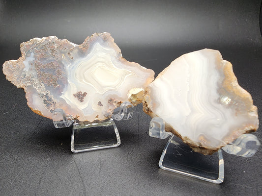 Two polished halves of the AUCTION 4th of July Agate from The Crystalary are elegantly displayed on clear stands against a black background. The geodes showcase intricate banding patterns in shades of gray, white, and light brown, with a mix of translucent and opaque areas. Their texture is smooth and glossy.