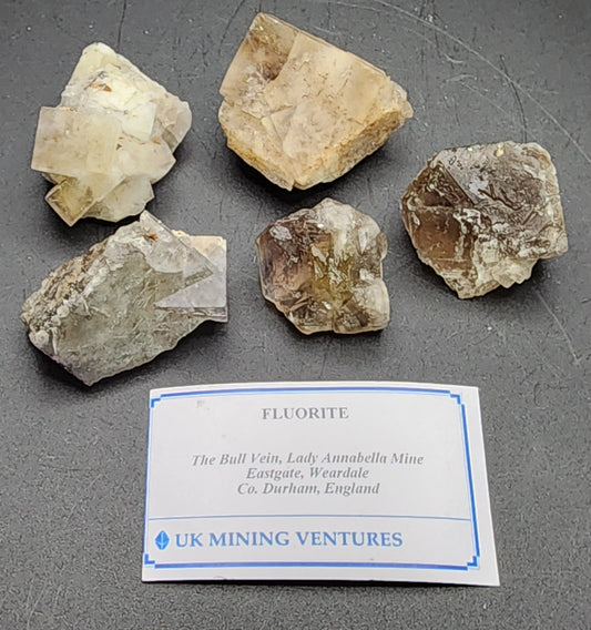 Five fluorite mineral specimens of varying shapes and colors are displayed on a dark surface. A label with the text "AUCTION Fluorite- The Bull Vein, Lady Annabella Mine, Eastgate, Weardale Co. Durham, England" from The Crystalary is positioned in front of the specimens.