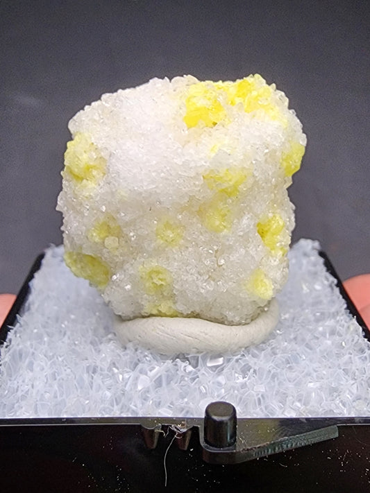 The Crystalary's AUCTION Sulfur, Calcite mineral specimen from Maybee Quarry in Exeter Township, Monroe County, Michigan is showcased with its white crystalline structure accented by distinctive yellow sulfur formations. The specimen is elegantly mounted on a foam pad within a black display case and set against a gray background for optimal viewing.