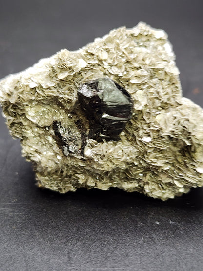 A close-up image of The Crystalary's AUCTION Schorl, Mica specimen from Pingwu Co., Mianyang, Sichuan, China. The dark, shiny schorl crystal is embedded in a lighter, leafy-textured mica rock. Set against a solid dark background, likely black, the reflective surface of the crystal contrasts strikingly with the matte texture of the surrounding mica.