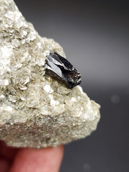 Close-up of a rough, silver-gray mineral with a dark, metallic crystal embedded in its surface. This stunning specimen, branded by The Crystalary, features AUCTION Schorl on mica from Pingwu Co., Mianyang, Sichuan, China. The background is blurred to emphasize the intricate texture and details of the mineral and crystal.