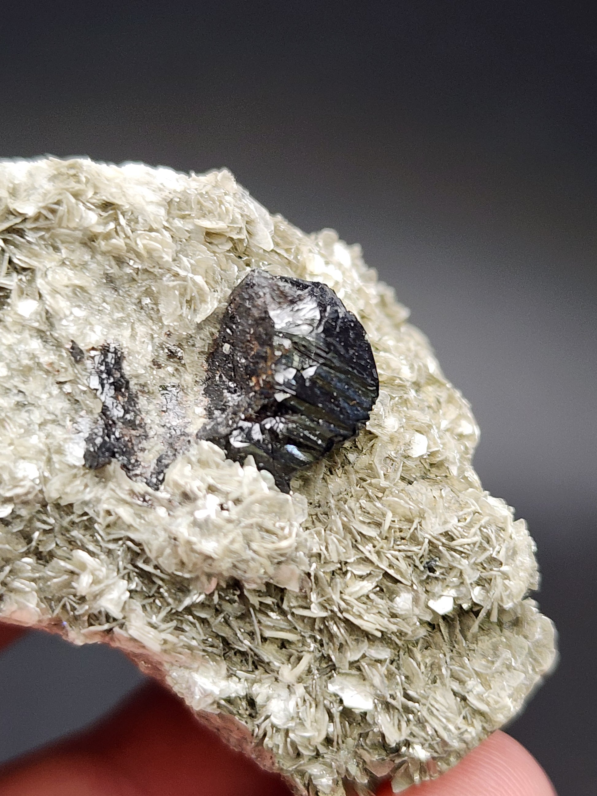 Close-up of a hand holding an AUCTION Schorl, Mica specimen from Pingwu Co., Mianyang, Sichuan, China by The Crystalary. The dark, metallic schorl crystal is embedded in a cluster of lighter, flaky, translucent mica. The background is blurred, highlighting the texture and contrast of these stunning minerals.