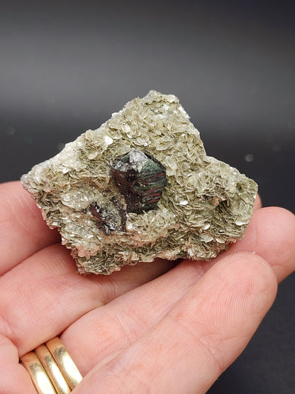 A hand holding a textured rock with a central dark, shiny schorl mineral embedded in a lighter, flaky mica surrounding material. The specimen from Pingwu Co., Mianyang, Sichuan, China showcases the darker crystal-like inclusion within a matrix of lighter, leaf-like layers. The background is a plain dark color. This item is available from The Crystalary under the name "AUCTION Schorl, Mica - Pingwu Co., Mianyang, Sichuan, China.