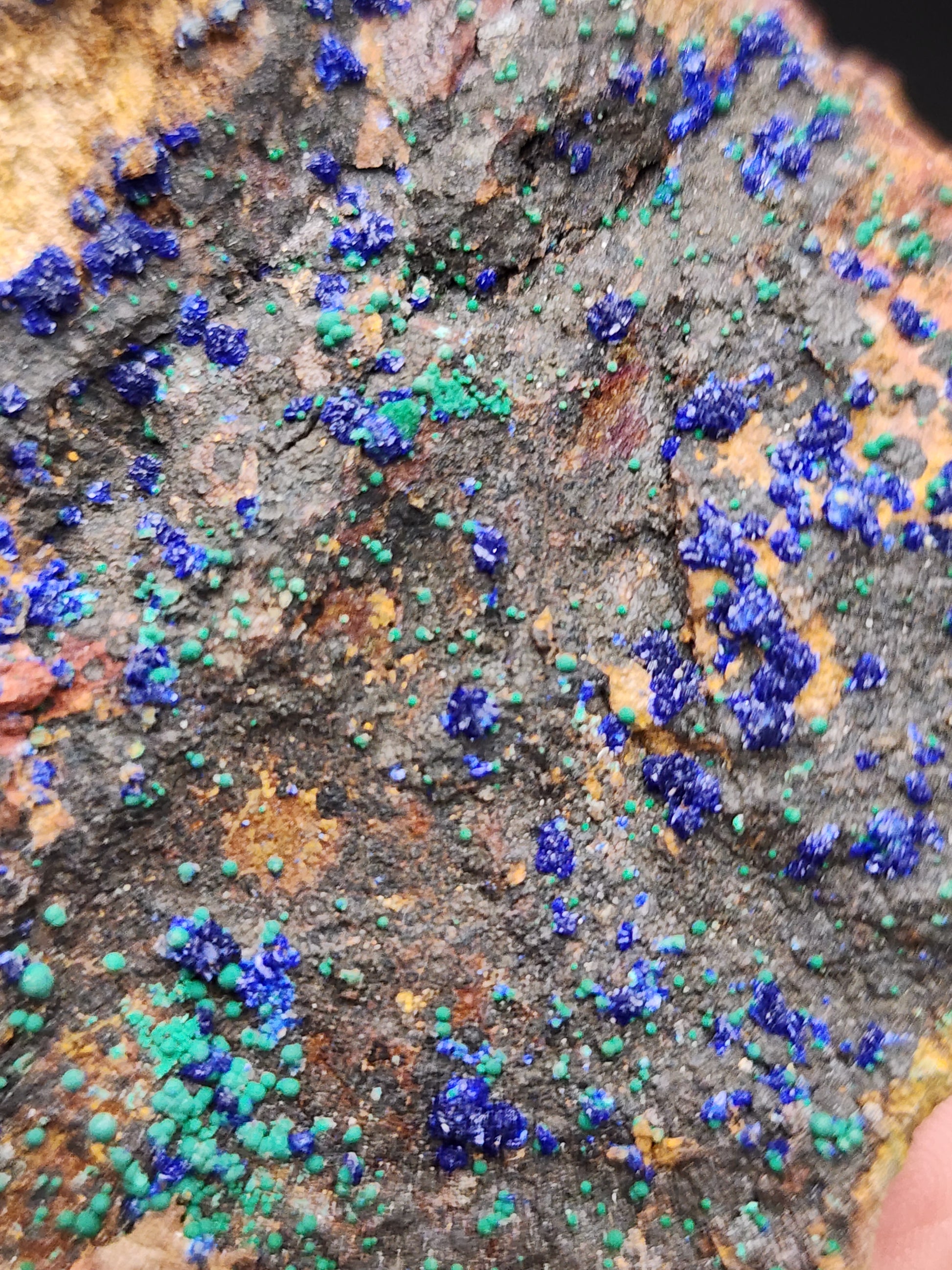 A detailed examination of the AUCTON Azurite & Malachite from the Morenci Mine, available from The Crystalary, showcases vivid blue Azurite and green Malachite crystal formations dispersed across the specimen's rough-textured surface. Hints of brown and gray hues are interspersed throughout, enhancing the striking contrast created by the blue and green crystals.