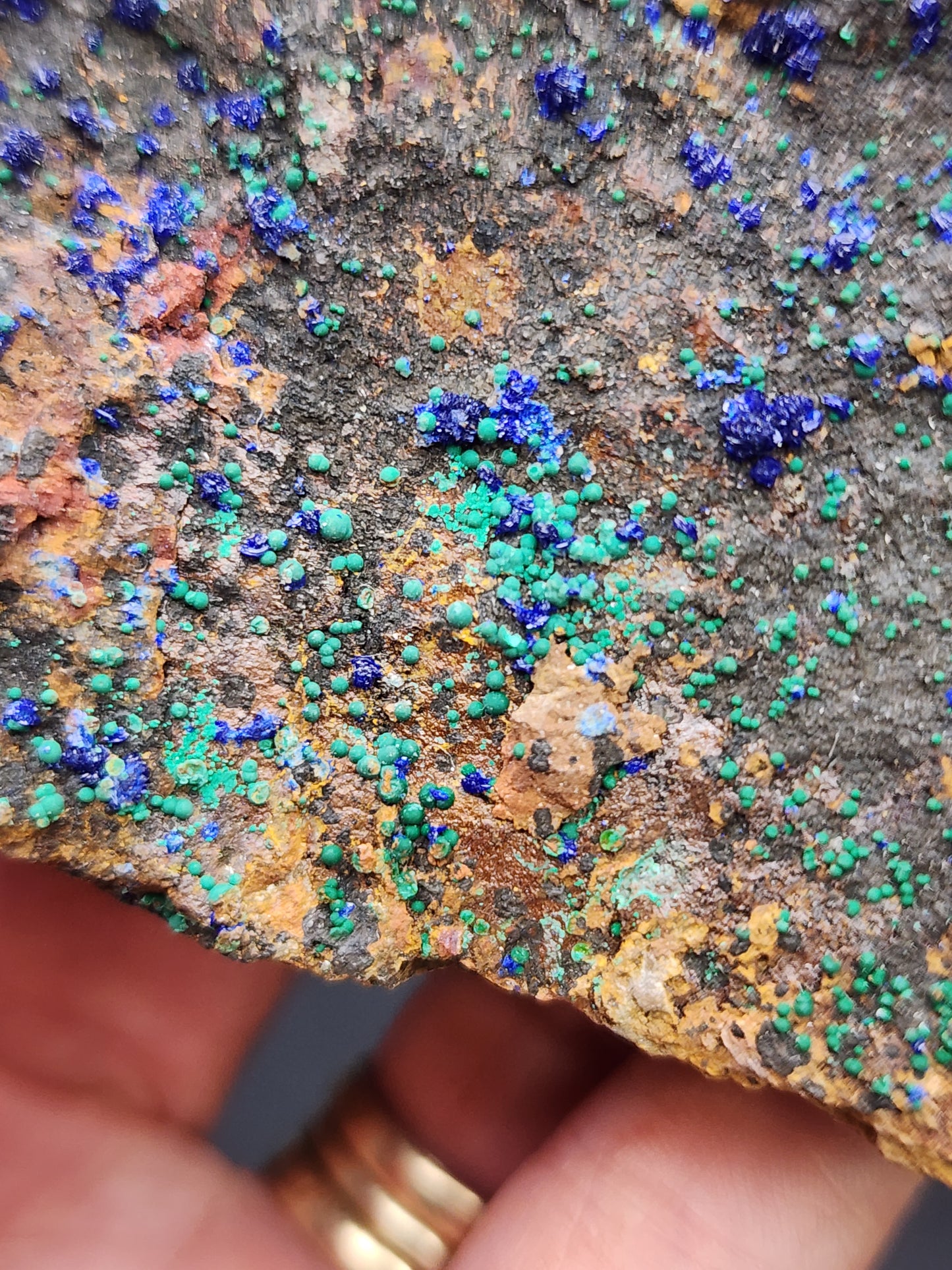 Close-up of a hand holding an AUCTON Azurite & Malachite mineral sample from the Moreci Mine, Morenci, Greenlee County, Arizona, USA. The rock surface is brown and gray, speckled with vibrant blue azurite and green malachite deposits. The person's fingers, adorned with gold rings, are visible at the bottom of the image. This exquisite sample is part of The Crystalary collection.