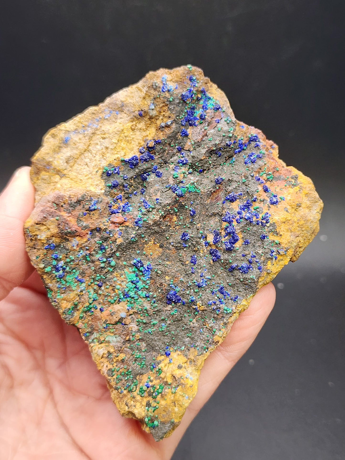 A hand holds The Crystalary's AUCTON Azurite & Malachite from the Morenci Mine in Greenlee County, Arizona, showcasing vibrant blue Azurite and green Malachite crystals embedded in its rough, brown surface. The plain dark background emphasizes the striking colors of the crystals against the rocky texture.