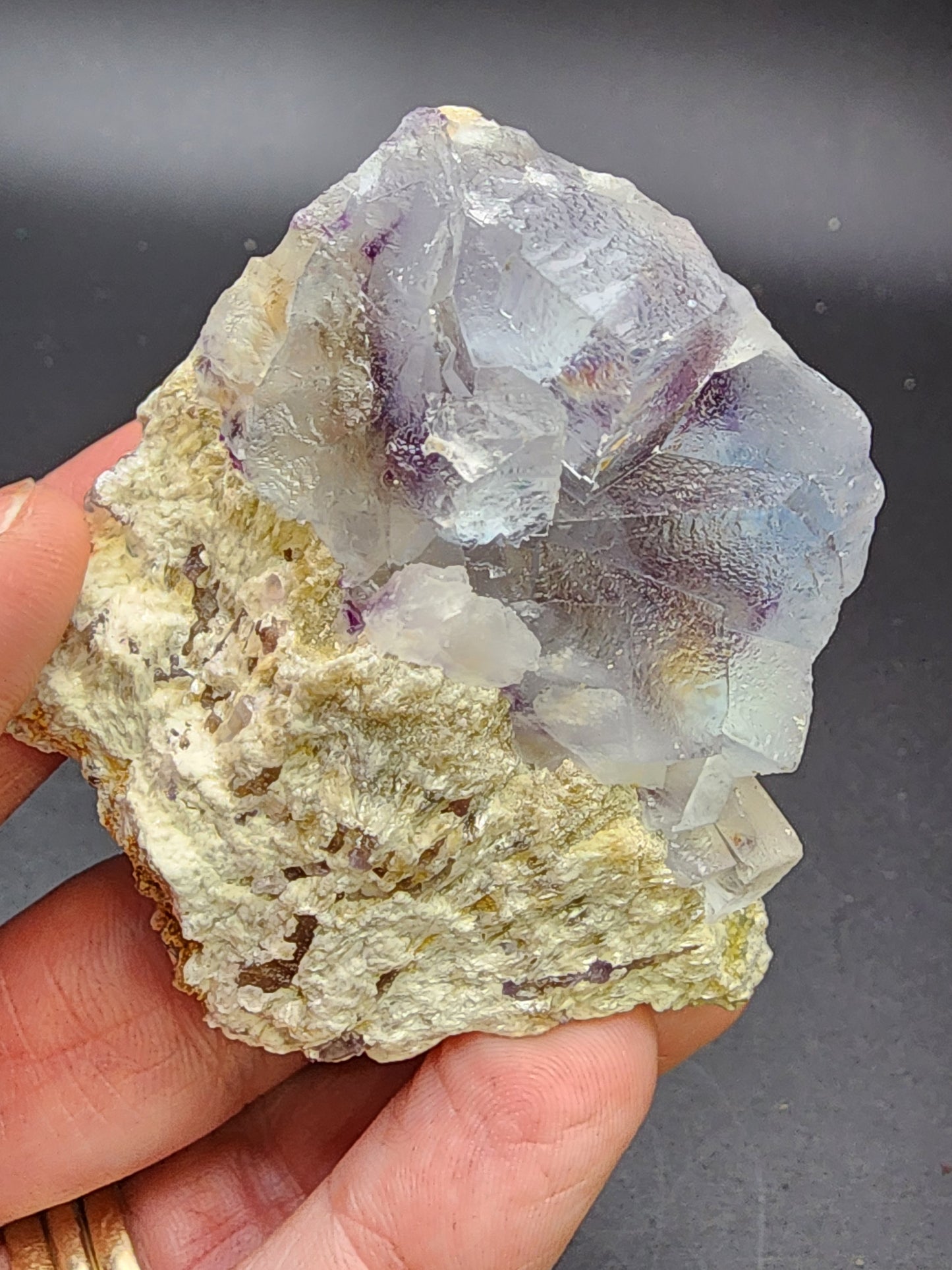 A hand holds *The Crystalary’s AUCTION Fluorite*, a raw, translucent blue-zoned fluorite specimen from the Yindu Mine in Hexigten Banner, Chifeng City, Inner Mongolia, China. The cubic formations exhibit a hint of purple hue. The bottom part of the specimen sits on a rough, beige-colored matrix against a plain, dark background.