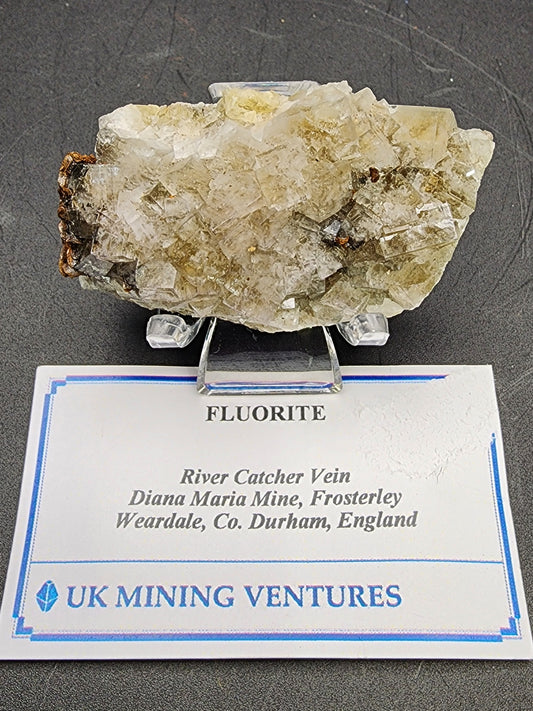 A raw, translucent piece of fluorite from the Diana Maria Mine is displayed on a stand with a label beneath it that reads: "AUCTION Fluorite - River Catcher Vein, Diana Maria Mine, Frosterley, Weardale, Co. Durham, England." The display, by The Crystalary, sits against a textured dark surface.