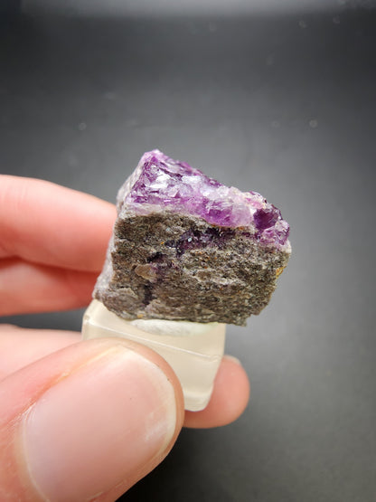 A hand holds a small chunk of rock with a rough, purple crystal embedded in it from The Crystalary's AUCTION Fluorite collection. The fluorite miniature sparkles under the light and is partially exposed. The background is a plain, dark surface, highlighting the rock and its dazzling crystal sourced from the Annabel Lee Mine & Minerva No. 1 Mine in Hardin County, Illinois, USA.