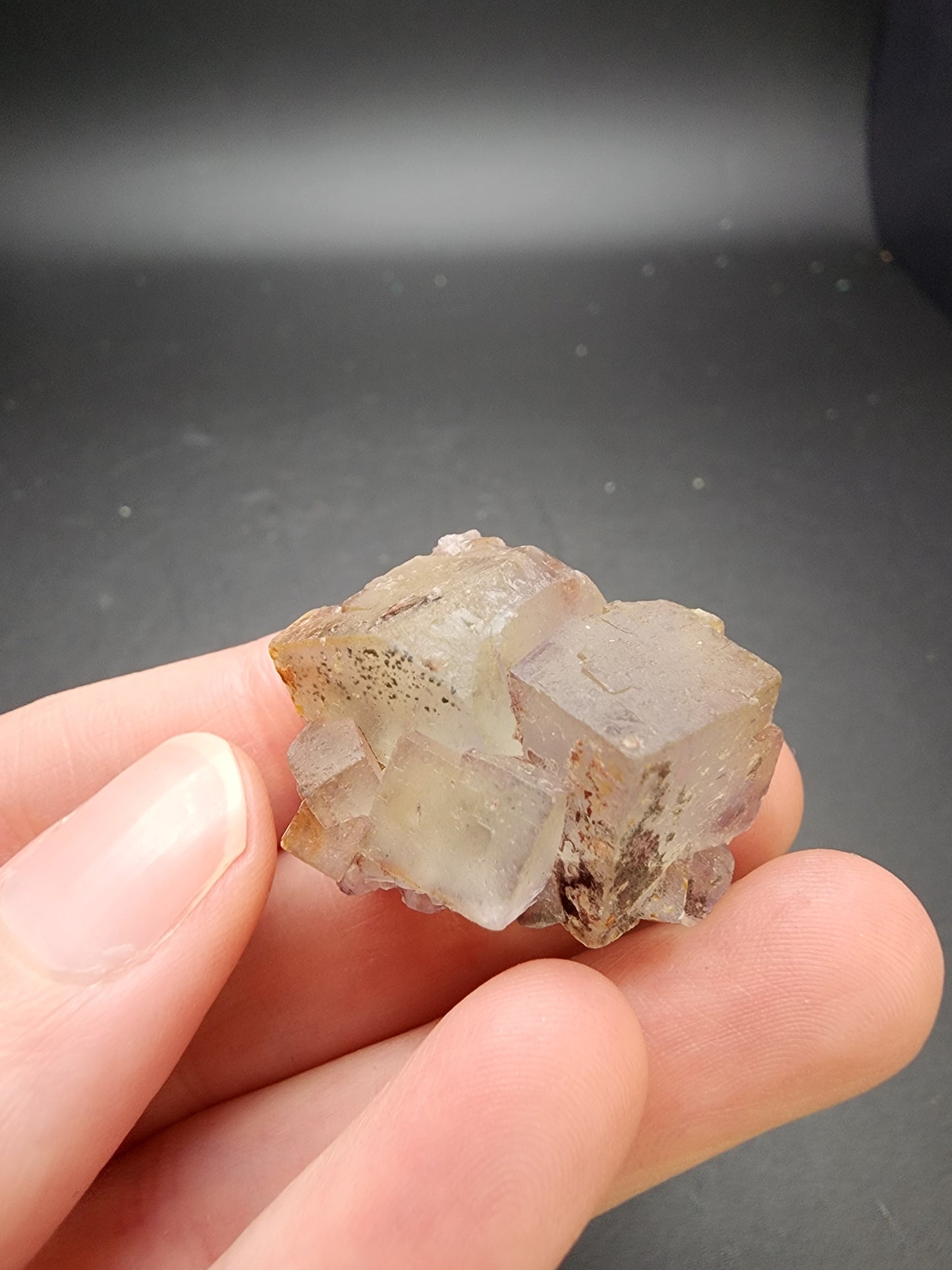 A hand holding a small cluster of the AUCTION Fluorite from the El Hammam Mine in Morocco against a dark background. The crystals, brought to you by The Crystalary, vary in color, displaying shades of green and purple with some transparency. The thumb and index finger are gently pinching the mineral specimen.