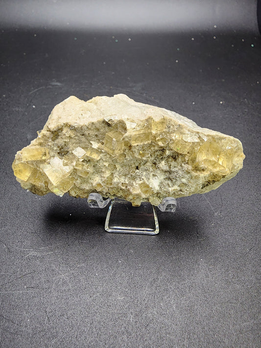 A rough, beige rock with clusters of yellowish cubic crystals from Stoneco White Rock Quarry is displayed on a clear plastic stand against a dark background. The crystalline structures catch the light, showcasing their geometric shapes and subtle hints of silver white UV fluorescence. This unique specimen is part of The Crystalary's AUCTION collection and originates from Clay Center, Allen Township, Ottowa County, Ohio, USA.