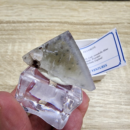 A person holds a clear acrylic display containing a mineral specimen labeled "FLUORITE" from the Lady Annabella Mine in Weardale, England. The triangular mineral, exhibiting a mix of gray, white, and greenish hues, is up for auction as part of The Crystalary's special Diamond Pocket Fluorite collection during the LIVE- sinfullilblonde- 9/20/2024 event.