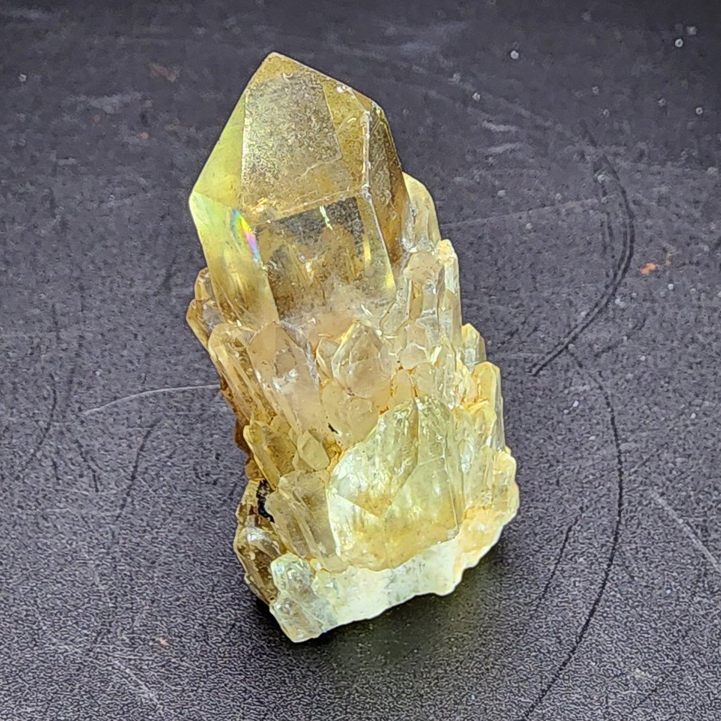 The "AUCTION- Kundaline Citrine" from Lwena, Katanga, Democratic Republic of Congo by The Crystalary showcases a stunning cathedral candle cluster with a prominent central crystal and multiple smaller points set against a contrasting dark background. This translucent quartz piece glistens with hints of rainbow reflections.