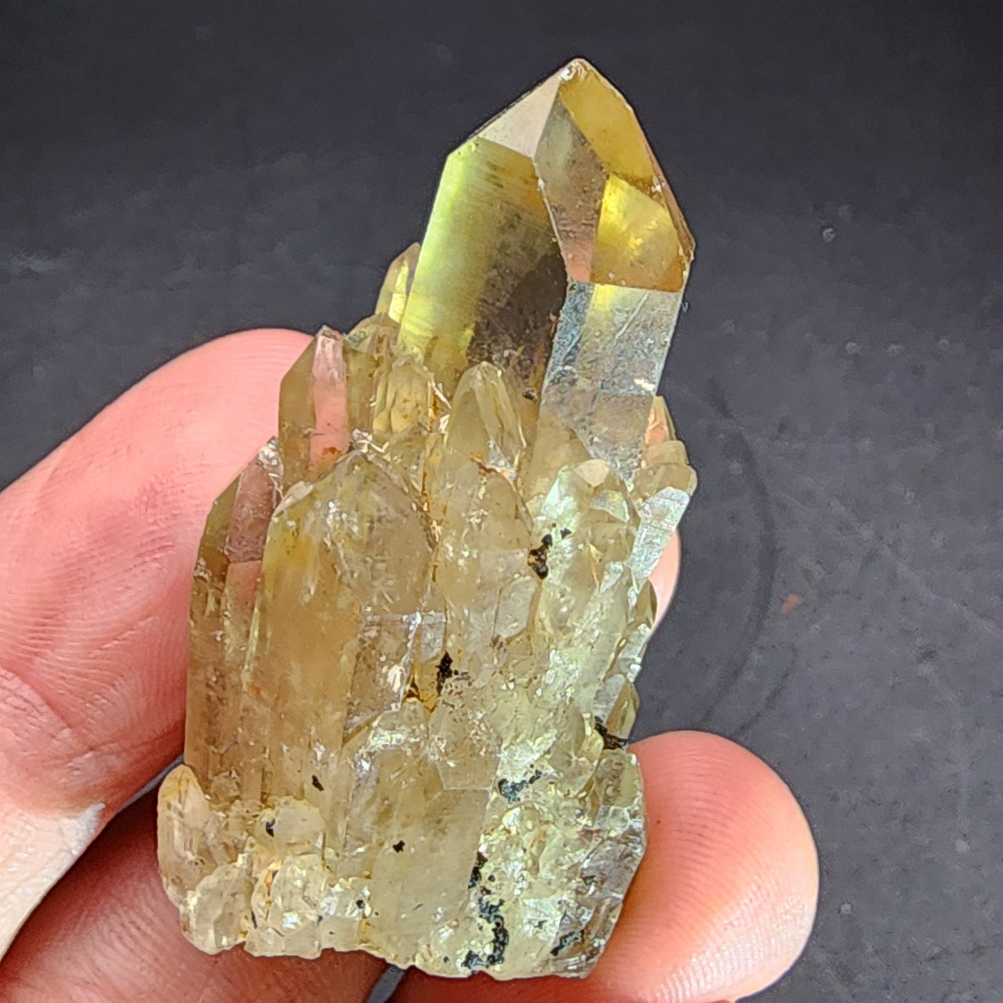 A hand holding the AUCTION- Kundaline Citrine from Lwena, Katanga, Democratic Republic of Congo by The Crystalary is seen against a dark background. The mini points cluster of translucent yellow quartz crystals features a prominent crystal with a pointed tip resembling a citrine cathedral candle.