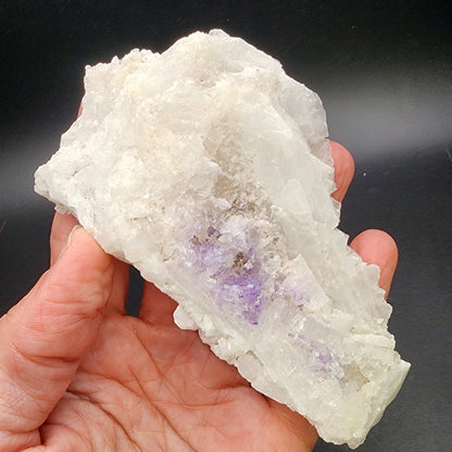 A hand holding a large, rough, Fluorite on Celestine crystal with patches of purple amethyst from The Crystalary's AUCTION collection against a dark background. The crystal, sourced from the Tule Mine in Melchor Múzquiz, Coahuila, Mexico, boasts a jagged and uneven texture with visible layers and formations.