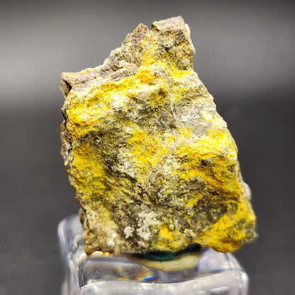 Displayed on a clear stand against a blurry black background, *The Crystalary*’s AUCTON Pottsite from the renowned Linka Mine in Spencer Hot Springs Mining District, Lander County, Nevada showcases bright yellow mineral deposits that beautifully contrast with the rough-textured darker rock.