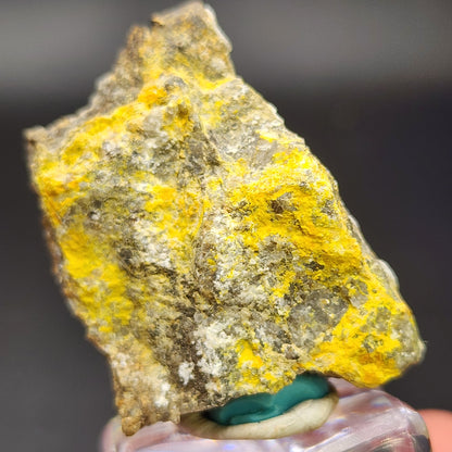 A close-up image showcases a mineral specimen with a rough, textured surface. The rock is predominantly gray, accented by vivid yellow patches that likely indicate the presence of Pottsite, a rare mineral often found in the Linka Mine. This exquisite specimen from The Crystalary's AUCTON collection is displayed on a small pedestal with a teal support.