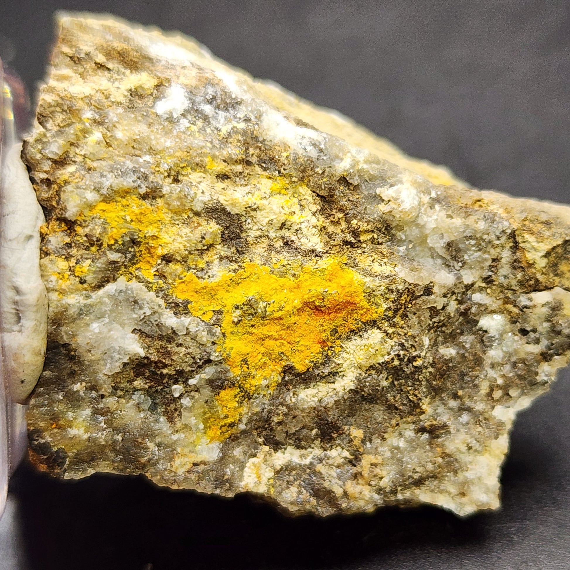 A close-up of "AUCTON Pottsite" by The Crystalary showcases a rock specimen from the Linka Mine in Spencer Hot Springs Mining District, Lander County, Nevada, USA. This specimen features a yellow Pottsite mineral deposit on its rough-textured gray surface, accented with patches of white and bright yellow crystallized formations. The vibrant hue of the Pottsite stands out strikingly against the dark, solid background.