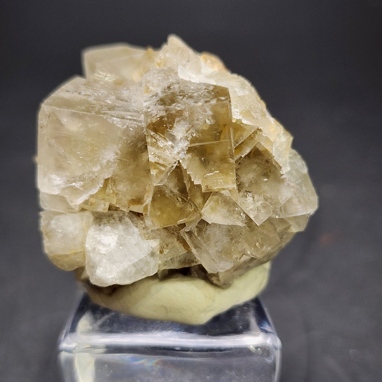 Close-up image of an AUCTION Fluorite crystal cluster from The Crystalary, mounted with translucent, cubic-shaped formations on a small clear acrylic base, set against a dark background. The crystals range in color from clear to pale brown. Originating from the Bull Vein at the Lady Annabella Mine in Eastgate, Weardale, Co. Durham, England.