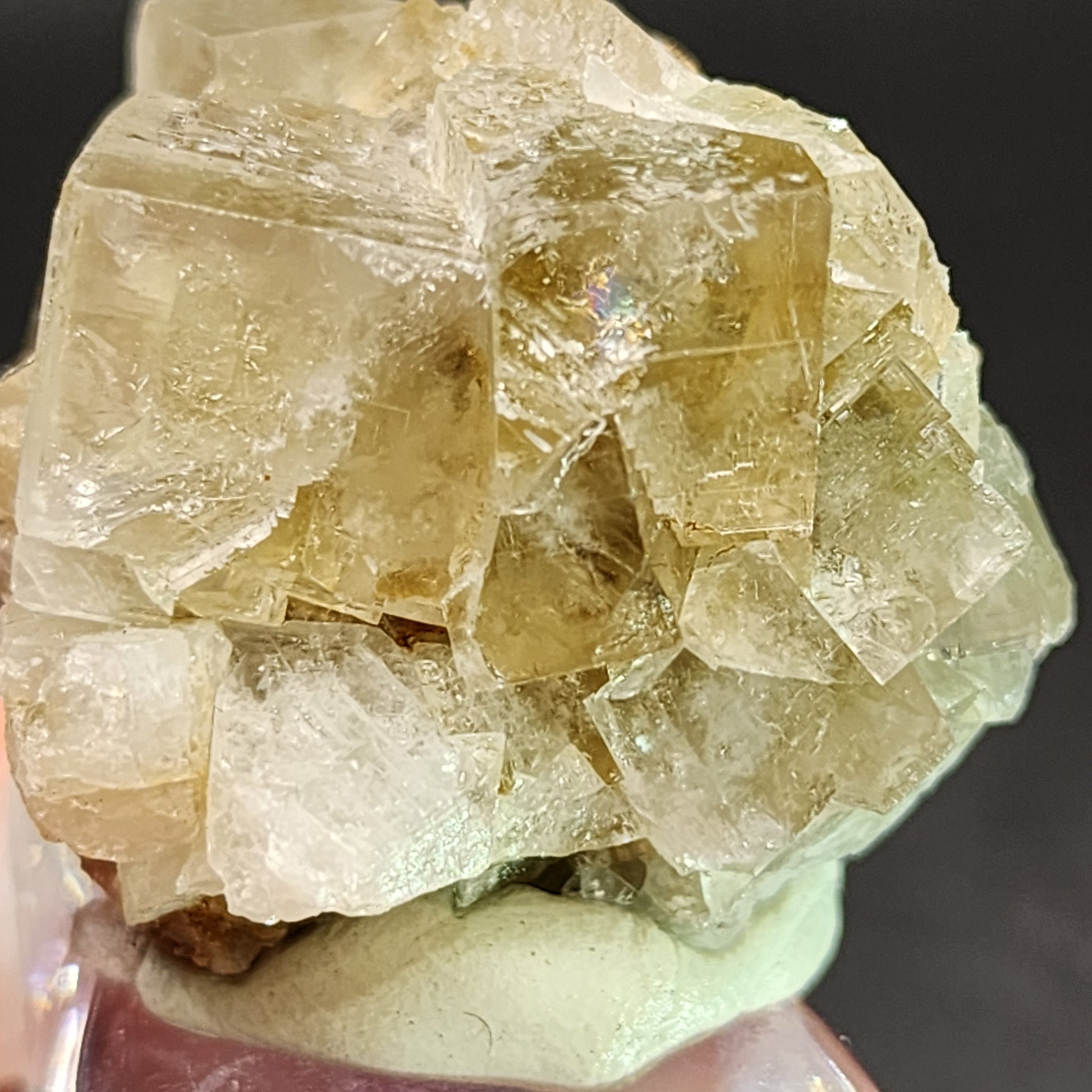 A close-up of AUCTION Fluorite from the Bull Vein, Lady Annabella Mine, showcasing its cubic structure and beige crystal cluster mounted on a white base. The semi-transparent crystals from this specimen by The Crystalary have irregular, shiny surfaces that catch the light beautifully. Against a dark background, the light-colored fluorite truly stands out.