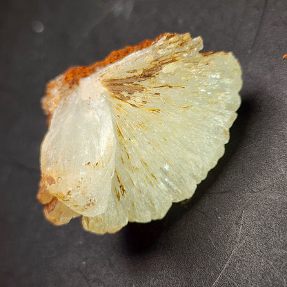 Image of a white, fan-shaped mineral specimen with feathery, crystalline textures on a dark background. The top edge is tinged with brownish-red coloration. The delicate layers exhibit a translucent and finely detailed appearance, characteristic of "AUCTION Hemimorphite- Ojuela Mine, Mapimi, Durango, Mexico" by The Crystalary.