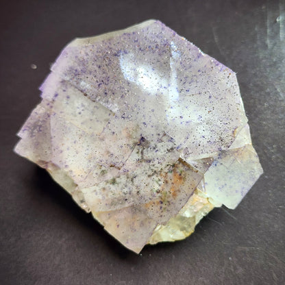 A close-up of a translucent mineral specimen from the AUCTION Fluorite collection, offered by The Crystalary, showcases a light purple hue adorned with cubic crystal formations and fine specks of darker purple. This soft speckled purple fluorite from Lead Hill, Cave-In-Rock in Hardin County, Illinois, appears smooth and shiny against a dark background.