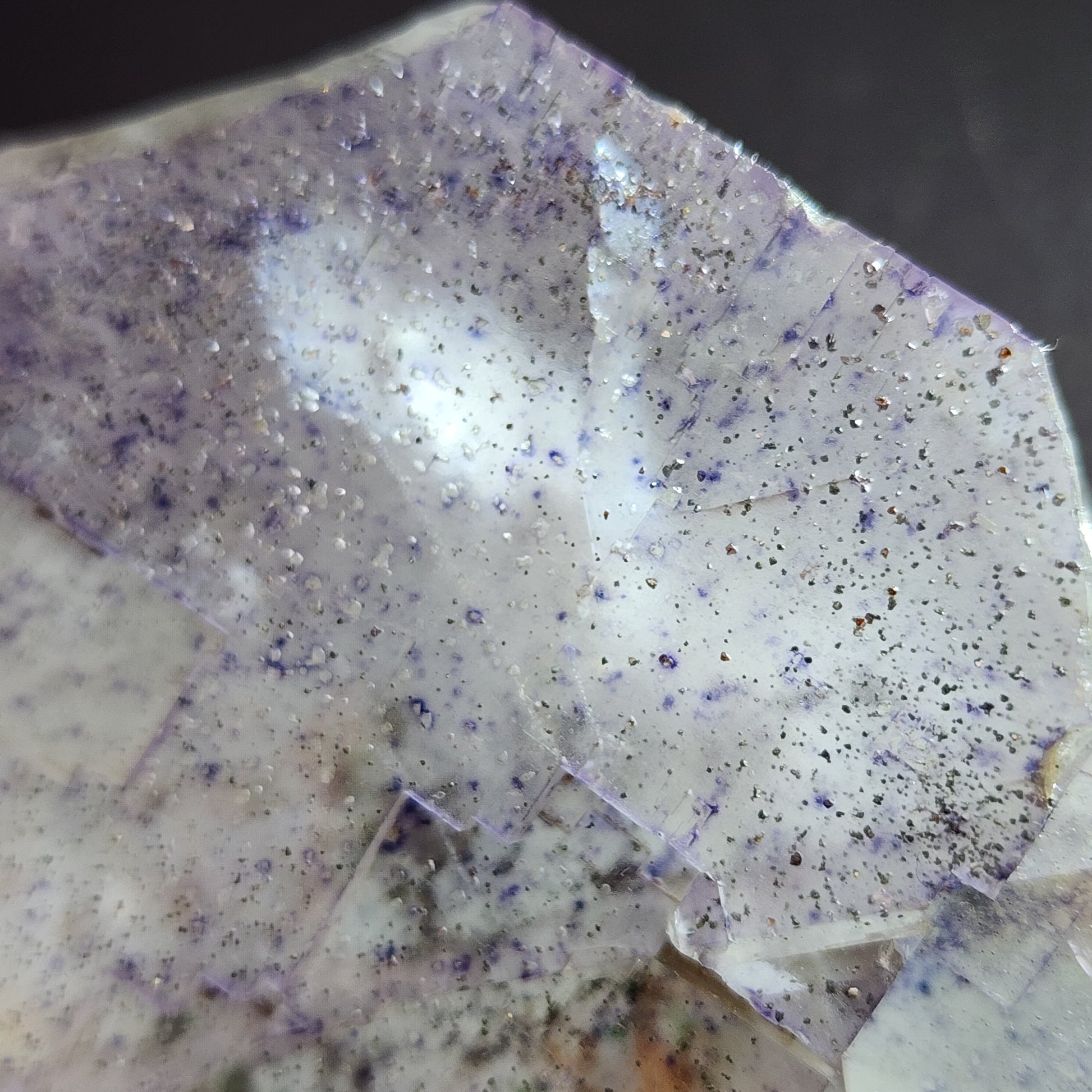 Close-up image of the transparent, irregularly shaped AUCTION Fluorite from Lead Hill, Cave-In-Rock, Hardin County, Illinois, USA by The Crystalary. The mineral shows fine dark speckles and subtle purple hues. Its surface has a reflective and somewhat glossy texture, with visible fractures and petroleum inclusions throughout.