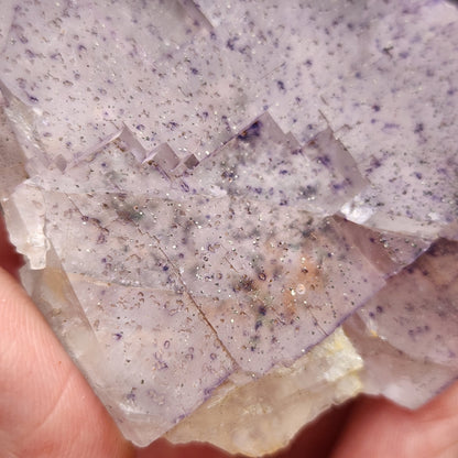 Close-up of a hand holding The Crystalary's AUCTION Fluorite from Lead Hill in Cave-In-Rock, Hardin County, Illinois. The translucent soft speckled purple fluorite specimen carries a lavender hue. The crystal surface features cubic formations with specks of darker inclusions, possibly petroleum inclusions, scattered throughout. Its texture appears smooth with occasional rough edges.