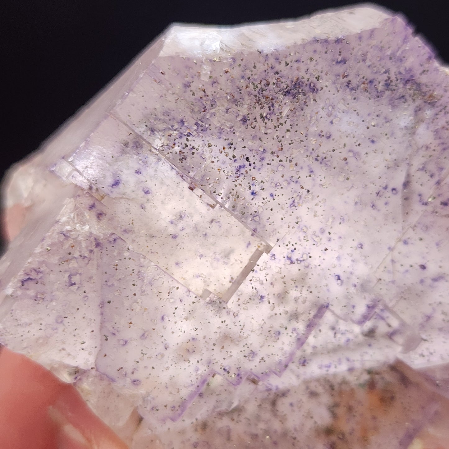 A close-up of a translucent crystal with a slight purple hue and rectangular geometric formations. The surface has scattered small black and purple specks, characteristic of soft speckled AUCTION Fluorite from Lead Hill, Cave-In-Rock, Hardin County, Illinois, USA by The Crystalary. The background is dark, highlighting the crystal's texture and details.