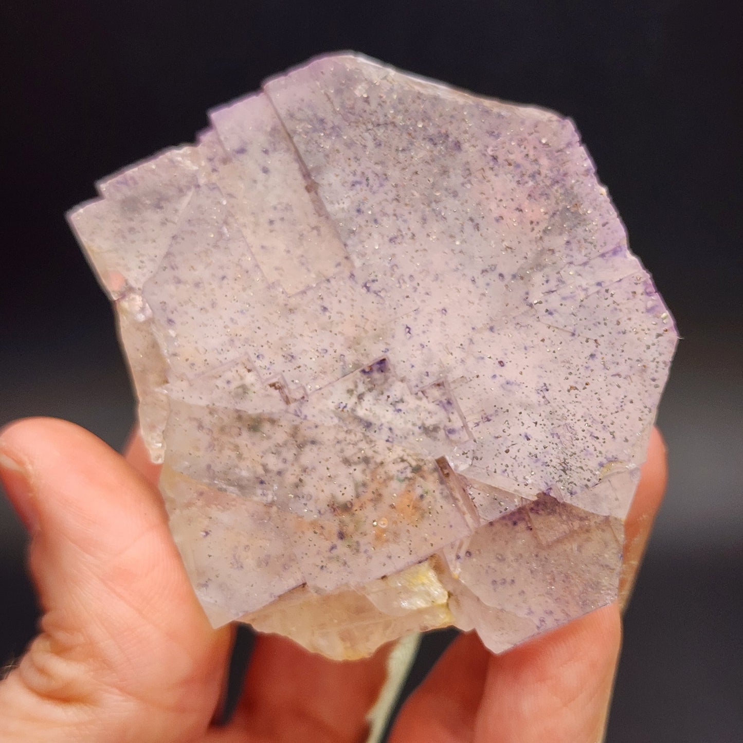 A person holds The Crystalary's translucent, soft speckled purple fluorite from Lead Hill, Cave-In-Rock, Hardin County, Illinois. The crystal has multiple flat faces and a slight sparkle with a dusting of finer glitter-like particles on its surface. The dark background highlights the details of the AUCTION Fluorite beautifully.