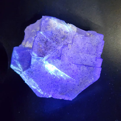 A vibrant blue-purple cubic crystal with a reflective, glitter-like texture on its surface is displayed against a black background. The crystal structure appears layered, showcasing geometric formations and sharp edges. This specimen of soft speckled purple fluorite is from Lead Hill and is offered by The Crystalary under the name AUCTION Fluorite- Lead Hill, Cave-In-Rock, Hardin County, Illinois, USA.