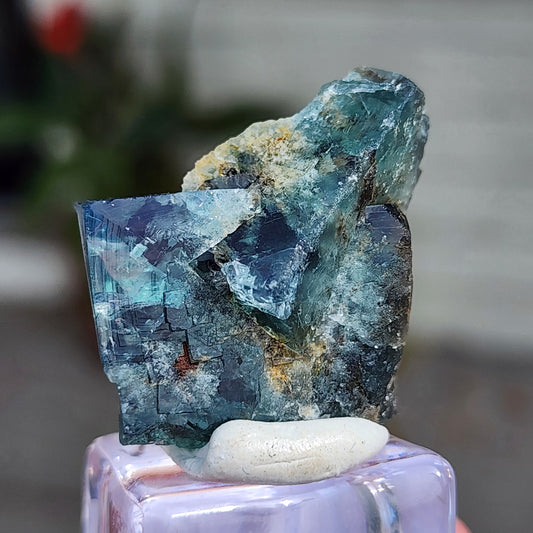 Close-up of a vibrant blue-green cubic fluorite crystal with a rough surface and intricate details, resting on a small white stone and displayed on a purple base. This specimen, known for its daylight color-changing properties, is from the renowned Rogerley Quarry in Stanhope, County Durham, England. The background is blurred to highlight the crystal's colors and structure. Featured as an "AUCTION Fluorite- 50 Year Pocket" by The Crystalary.