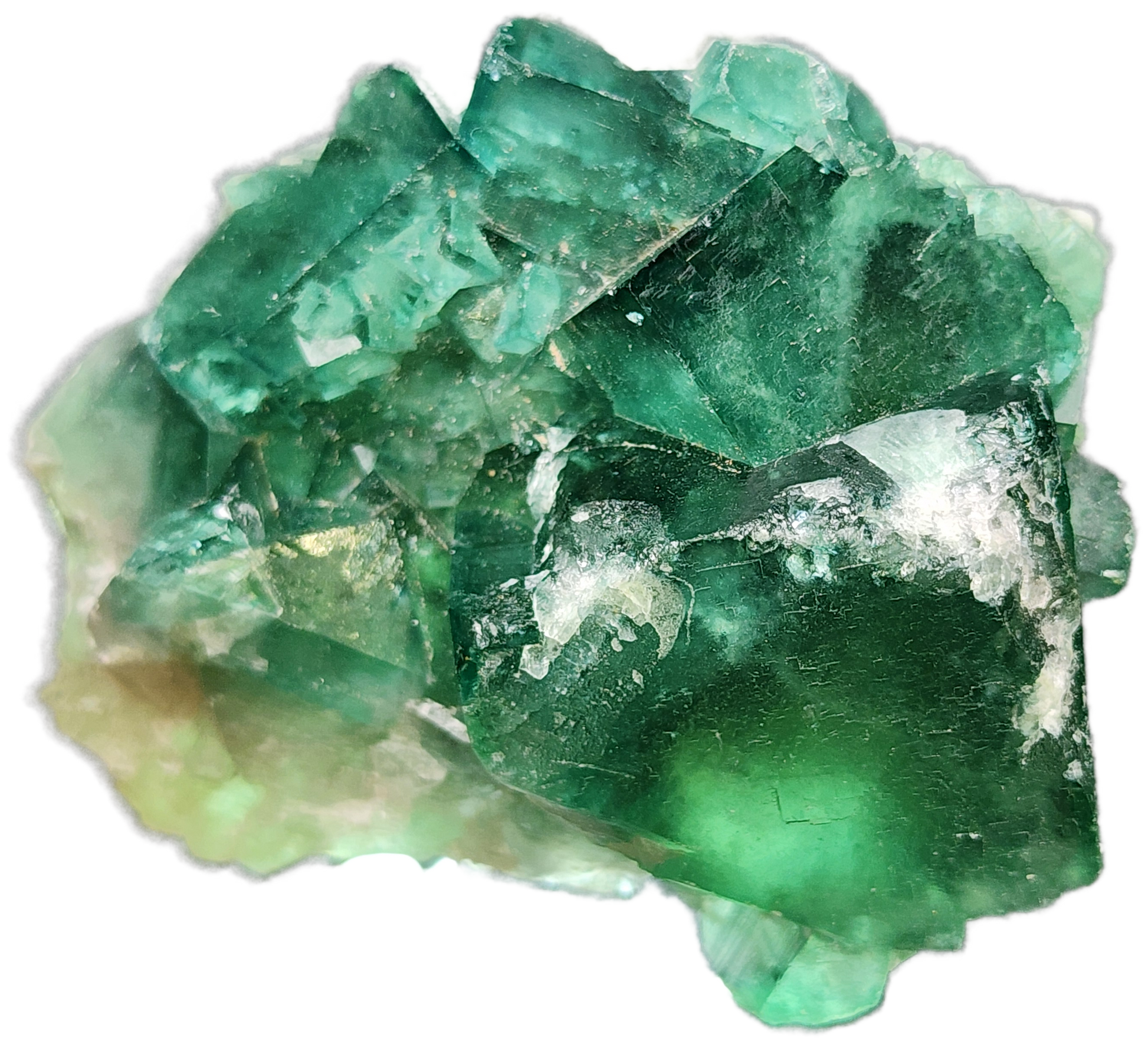 A rough, translucent fluorite crystal cluster from The Crystalary, originating from the Fluorite Occurrence in Mandrosonoro, Ambatofinandrahana, Amoroni'i Mania, Madagascar. This green fluorite features varying shades of green with white inclusions. Its jagged edges and natural formation give it a raw and unpolished appearance. The daylight changing properties add a dynamic visual appeal to this striking specimen.