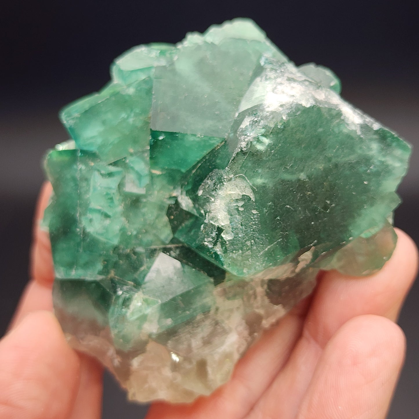 A hand holding a cluster of green AUCTION Fluorite crystals from the Fluorite Occurrence in Mandrosonoro, Ambatofinandrahana, Amoroni'i Mania, Madagascar against a dark background. The translucent mineral formations have sharp edges and vary in size, with some surfaces reflecting light that highlights their clarity and vibrant green hue. These unique crystals from The Crystalary exhibit daylight changing properties.