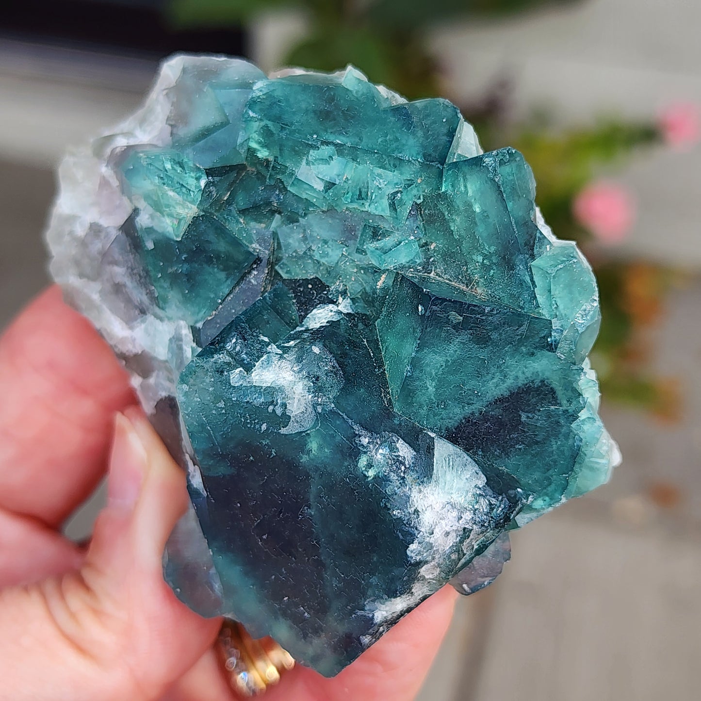 A hand holding a vibrant green AUCTION Fluorite crystal cluster from Mandrosonoro, Ambatofinandrahana in Amoroni'i Mania, Madagascar, features a mix of larger, translucent emerald-green cube formations along with smaller whitish areas. The blurred background reveals hints of foliage and a pink flower, emphasizing the vivid color and daylight changing properties of this exquisite piece by The Crystalary.