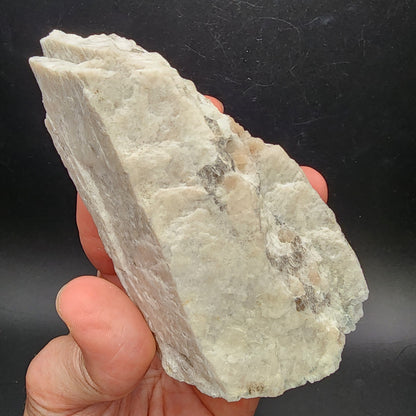 In a dimly lit background, a hand holds an unpolished, raw moonstone from Revelstoke, British Columbia. The off-white stone features rough textures accented with gray and brown streaks. Offered by The Crystalary as part of their AUCTION collection, the moonstone's natural beauty stands out vividly.