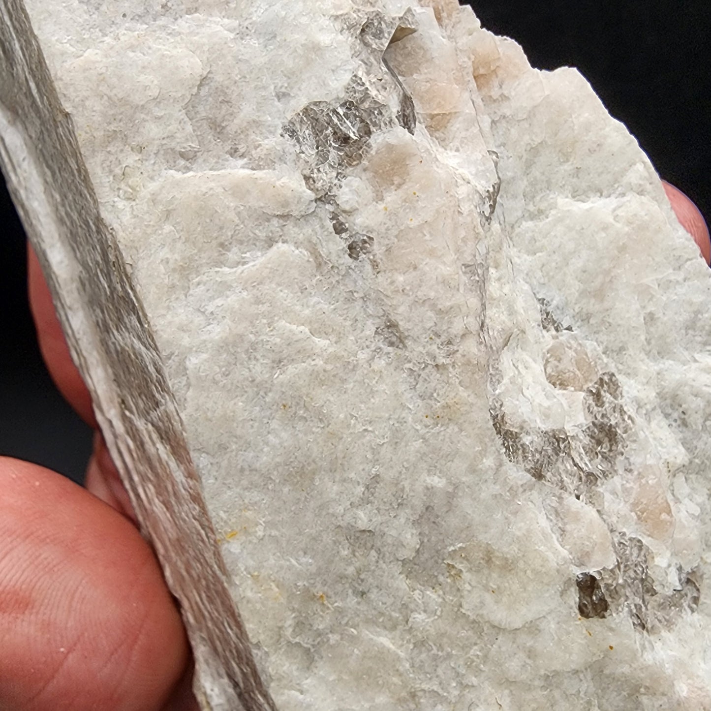 A close-up of a person holding The Crystalary's AUCTION Raw Moonstone, sourced from the rugged terrain around Revelstoke in British Columbia, Canada. The moonstone features a mix of white and translucent areas with some grayish sections. Its texture appears coarse and natural, with several jagged edges and uneven surfaces.