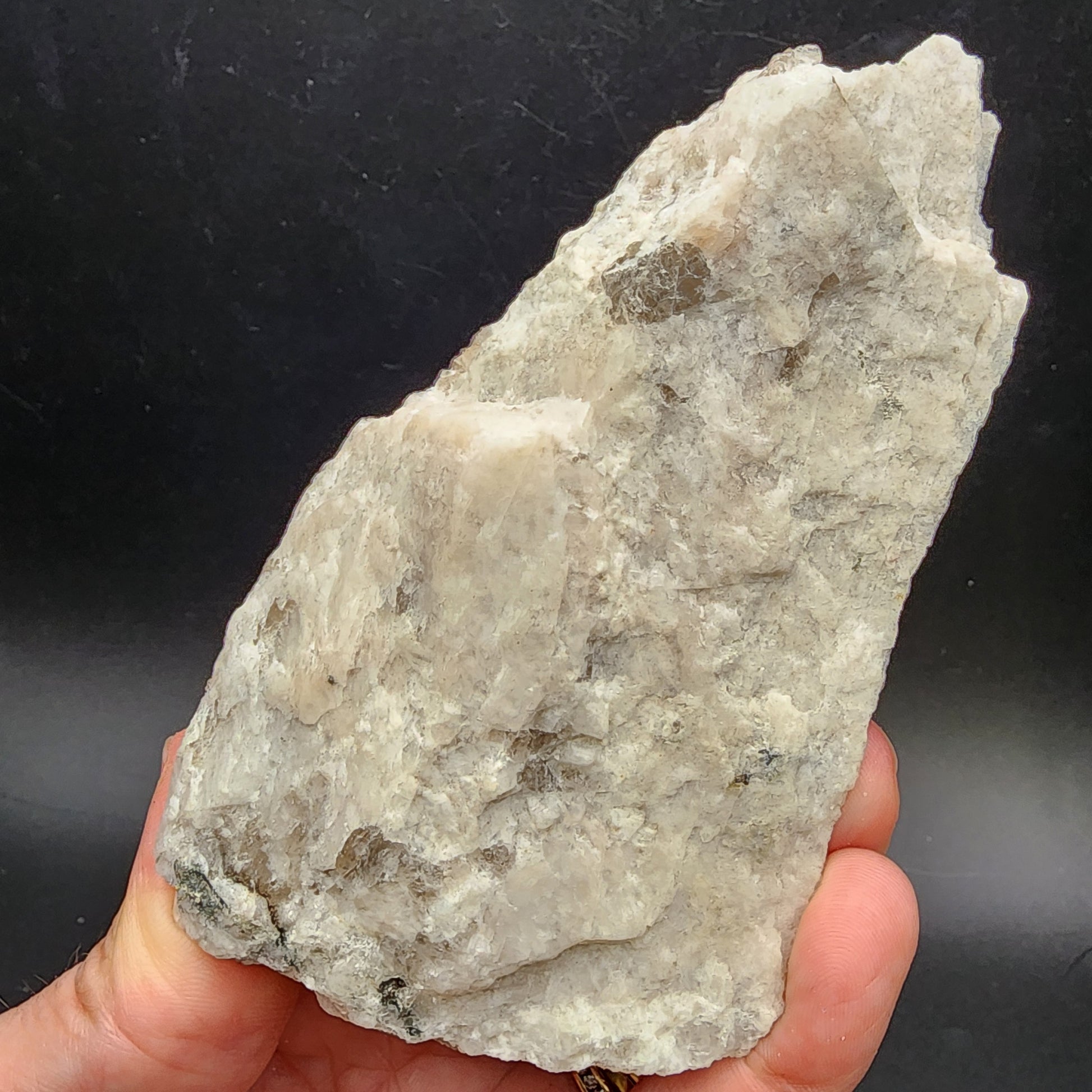 A hand gently grasps the AUCTION Raw Moonstone from The Crystalary, set against a dark background. The mineral rock, sourced from Revelstoke, British Columbia, showcases its striking white and gray coloration. Its surface is slightly uneven with jagged edges and glimmers with shiny specks.