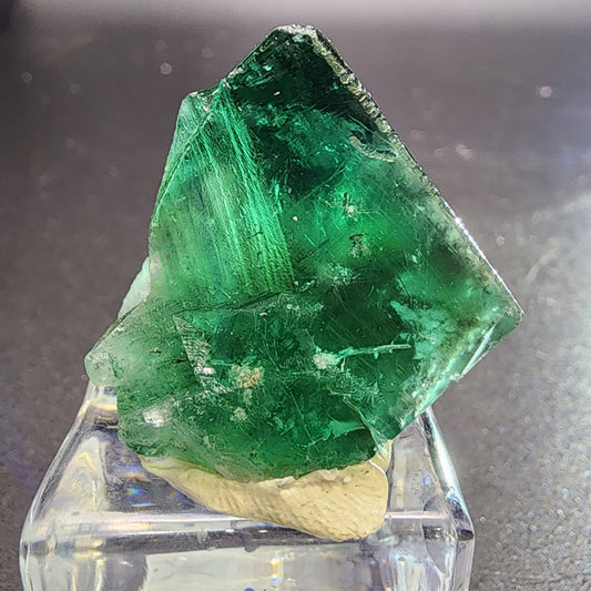 A close-up of a vibrant green fluorite crystal with a rough, triangular shape, displayed on a small, transparent stand against a dark background. This exquisite specimen from The Crystalary is sourced from the Greedy Hog Pocket at the Diana Maria Mine in Rogerley Quarry, Stanhope, County Durham. The crystal showcases visible inclusions and striations that highlight its natural, unpolished beauty.