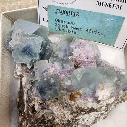 A mineral specimen labeled "LIVE- vineyardguy- 9/26/2024" by The Crystalary from Okorusu, Namibia is displayed in a box. The mineral consists of translucent, greenish cubic Fluorite crystals with hints of purple and embedded Quartz, set against a rocky matrix. A museum information card is partially visible behind it.