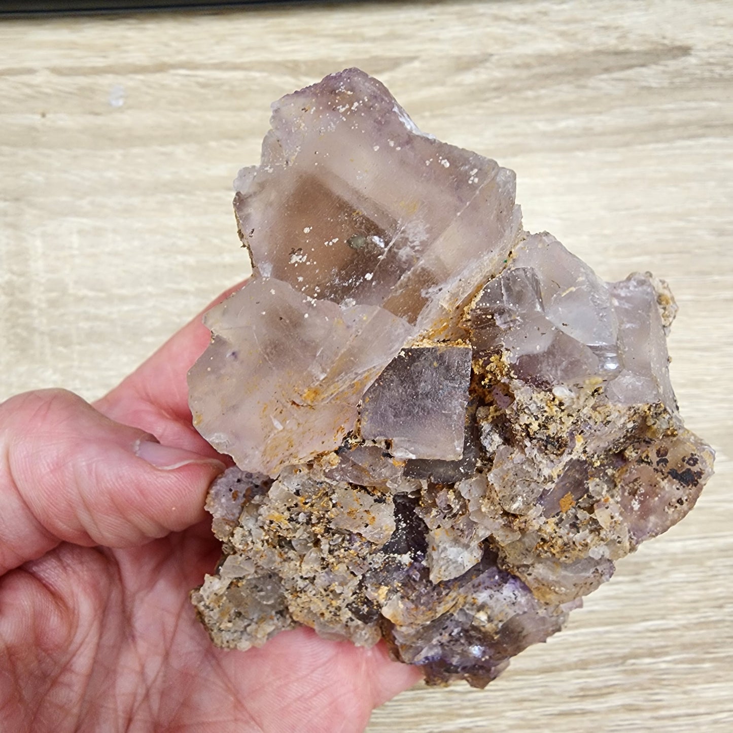 A hand is holding a cluster of translucent, purple and clear cubic fluorite crystals with some brownish mineral deposits, likely sourced from the renowned Cave in Rock area. The background is a light wooden surface. This stunning piece is part of The Crystalary's collection, specifically listed as the LIVE- cactusoddities- 9/19/24 & 9/26/24.